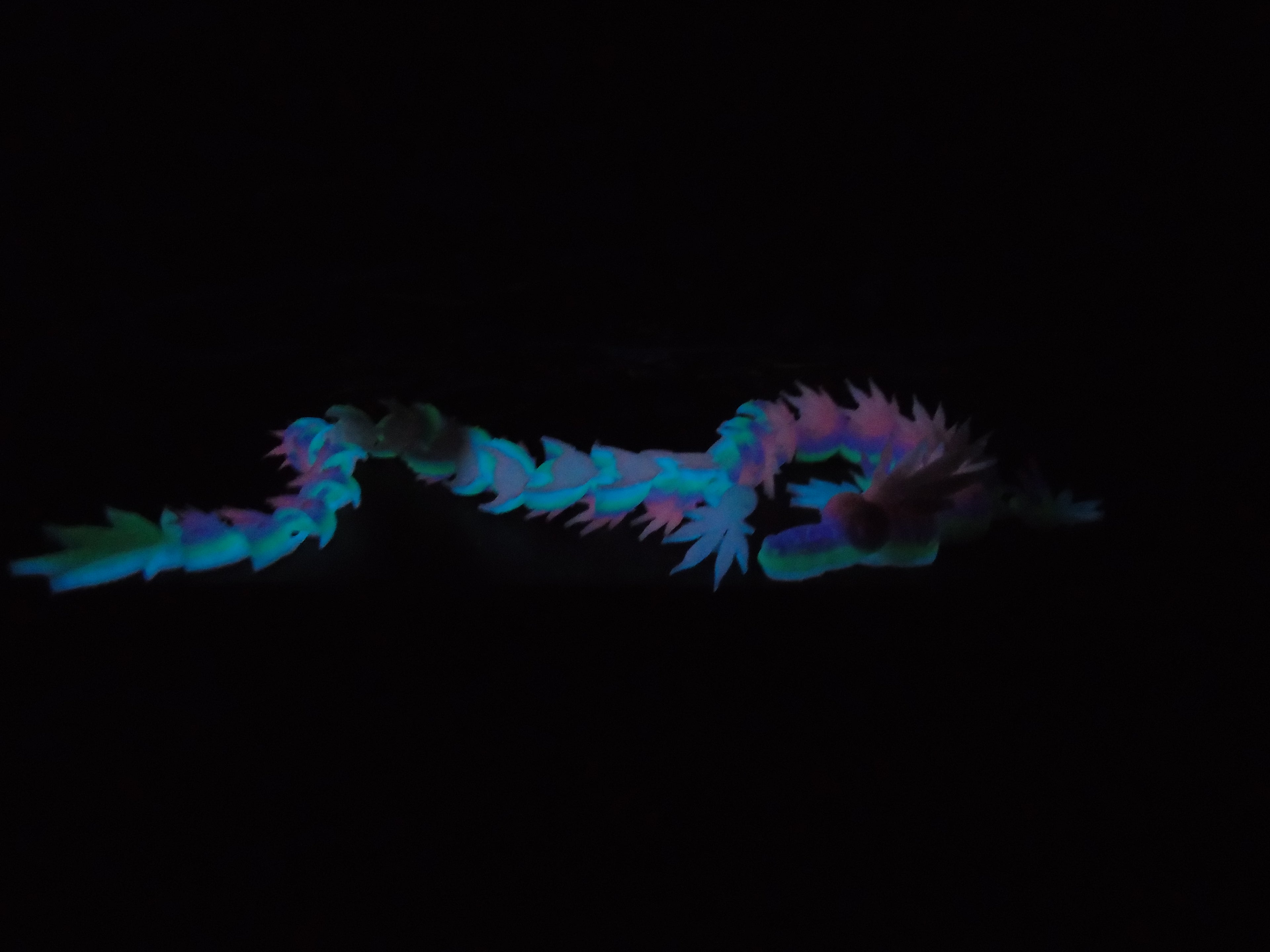 420 flexi Dragon